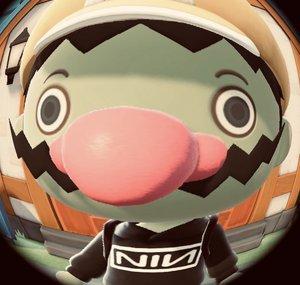 Jellyduck100