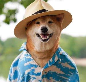 Mc Woof