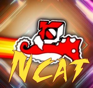 NcaT