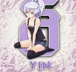 Yin kirsi