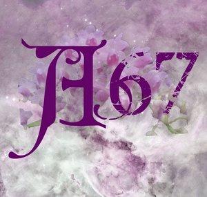 Aerides67