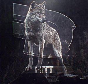 Hitt DF