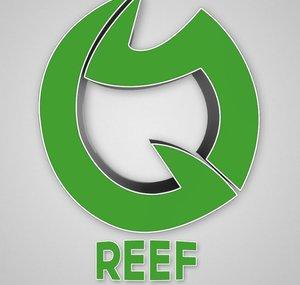Mob/Tribe Reef (Co-Leader) 36k!