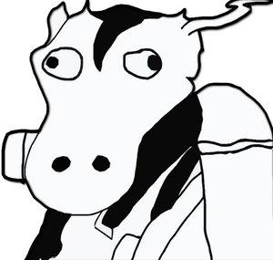 Nyuha