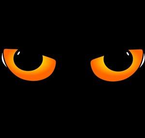 Tommy the Cat