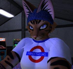VirtualCatGaming
