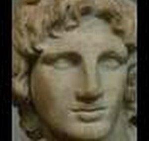 13alexander