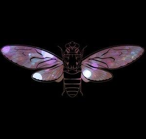 Cicada Whispers ASMR