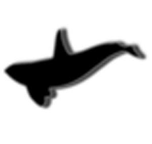 cyborgwhale