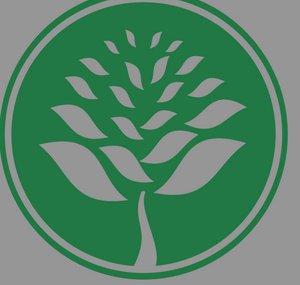 Instituto Comenius- natural remedies for health