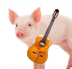 MaestroPig