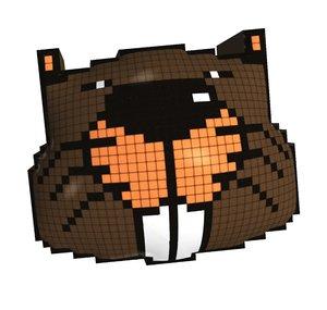 MagicBiber