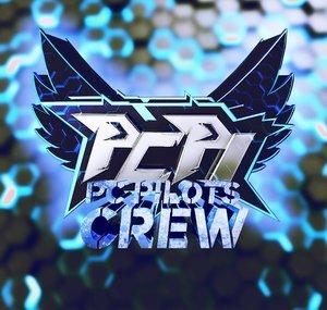 PC Pilots Crew - Video Game Piloting