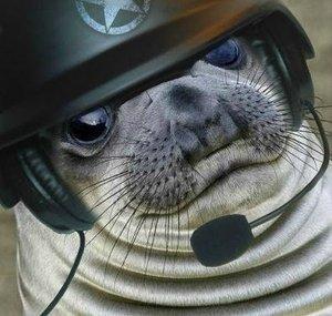 Sealdrop