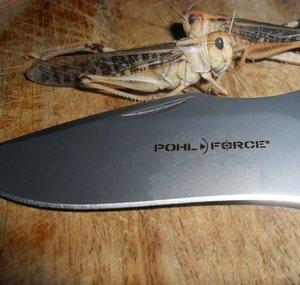 survivalbushcraftfan