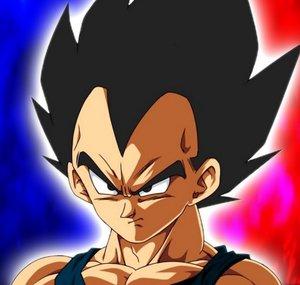 Vegetsu 
