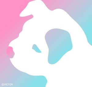 Victor K-POP