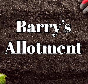 Barry's Allotment