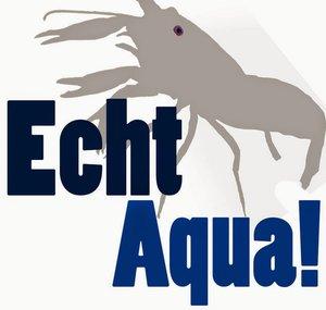 Echt Aqua!