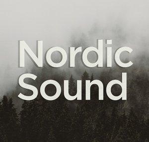 Nordic Sound Viking Music