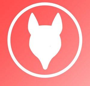 Rogue Fox