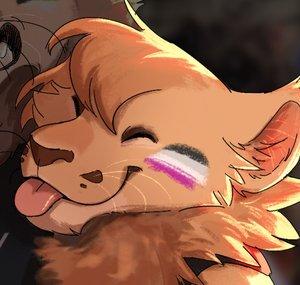 Shadsie