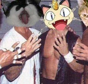 angusthecat316
