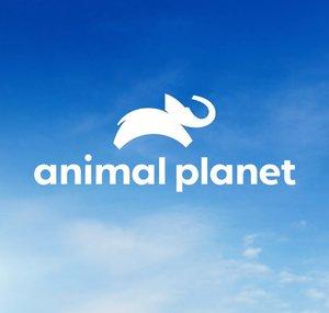 Animal Planet