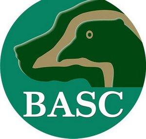 BASCfilms