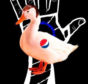 CM Honk