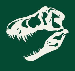 Descoberta dos Dinossauros