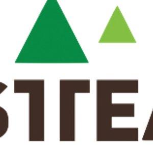 HMFORSTTEAM