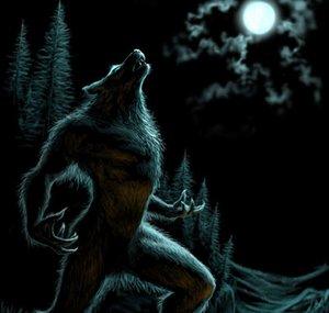 MrMoonDog88