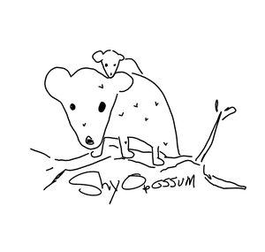ShyOpossumLive