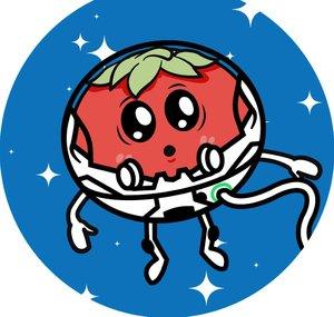 Space Tomato Gaming