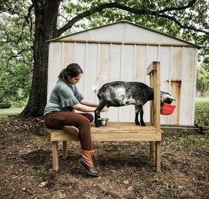 The Homesteading Mama