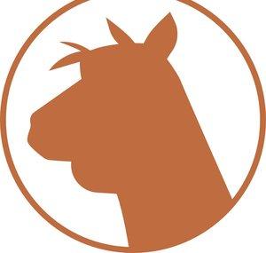 Alpaco Films
