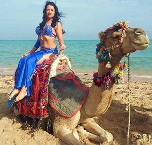 Belly Dancer Diaries