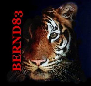 Bernd83