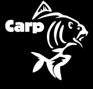 Carp