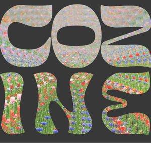 Cozine