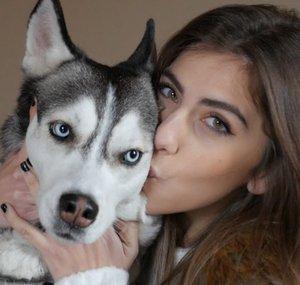 Mirca The Husky