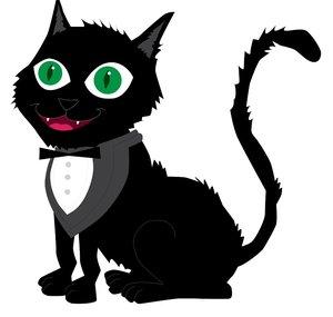 N2 Cat Crew Vlogs