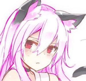 Neko Wolf