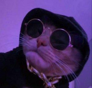 Purple Latin Vibes
