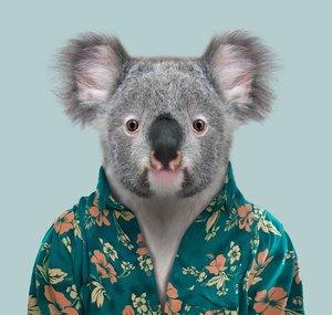 Queensland, Australia