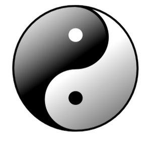 The Daily Karma