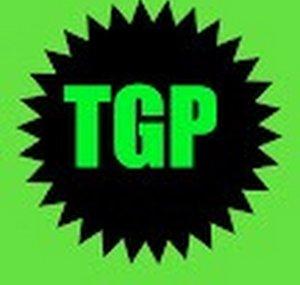 THE GAMER PERSON