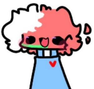 Tokki LA ◕*.🌈