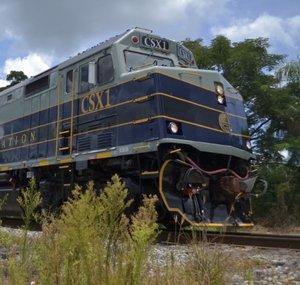 Vitis Sub Railfan